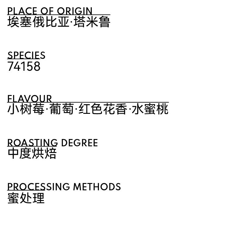 埃塞俄比亚 西达摩 班莎 塔米鲁 蜜处理 - 图片 2